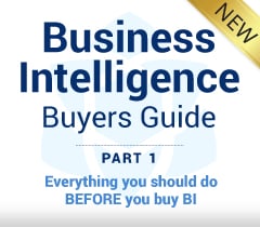 Business Intelligence Buyers Guide